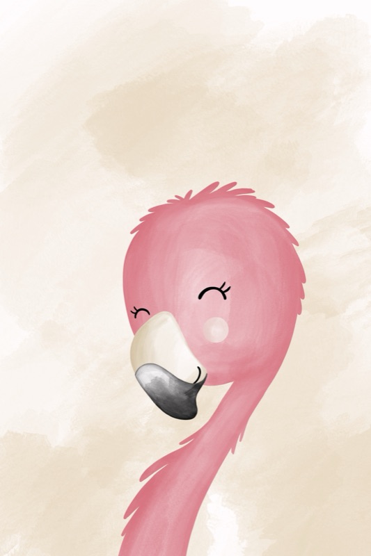 Les Petits Flamingo